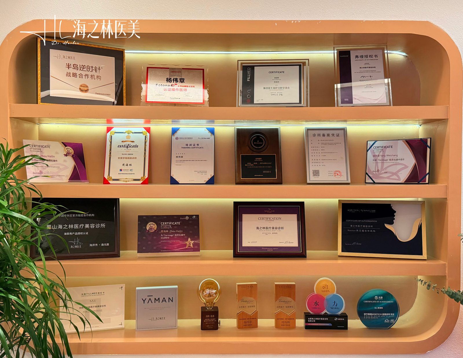服务流程与资质公示区实景：服务流程说明与资质公示区域